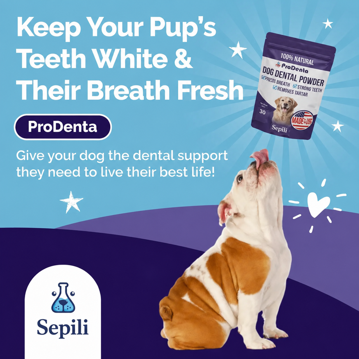ProDenta™ By Sepili