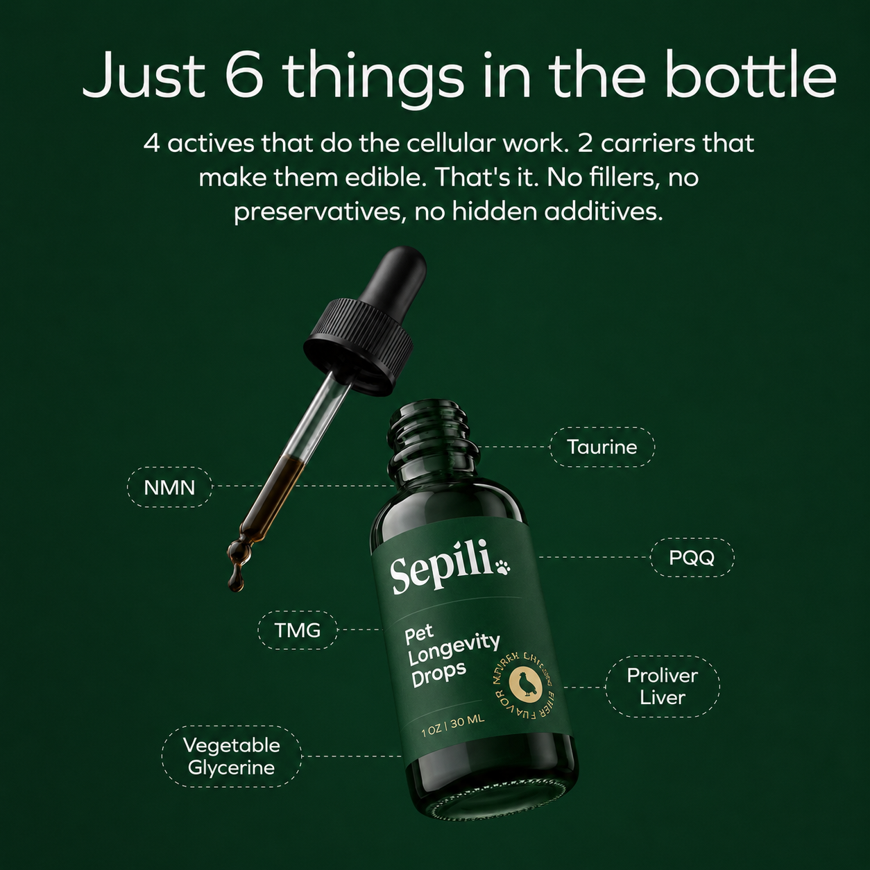 Sepili– the complete 4-layer liquid formula for aging dogs