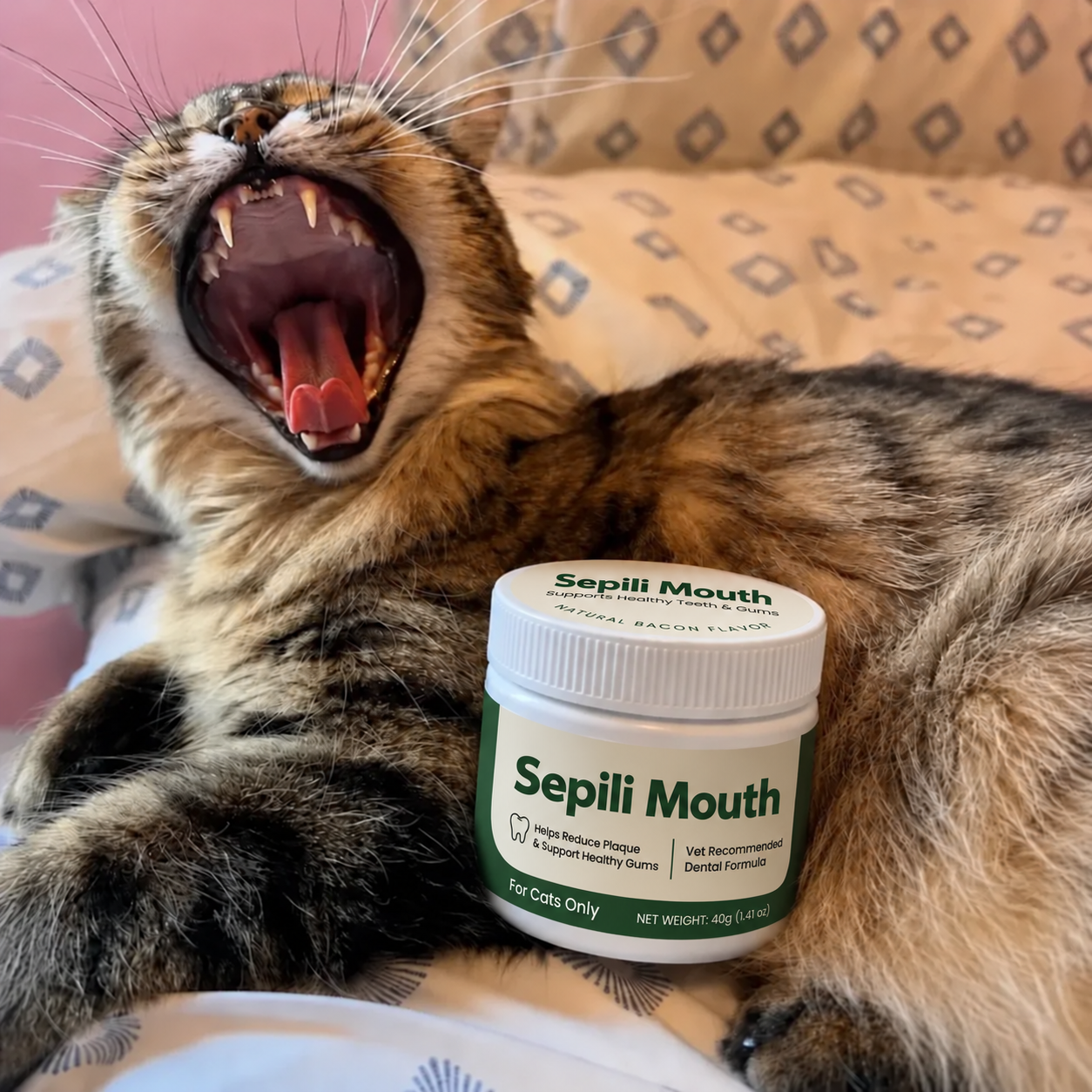 Sepili Mouth For Cats