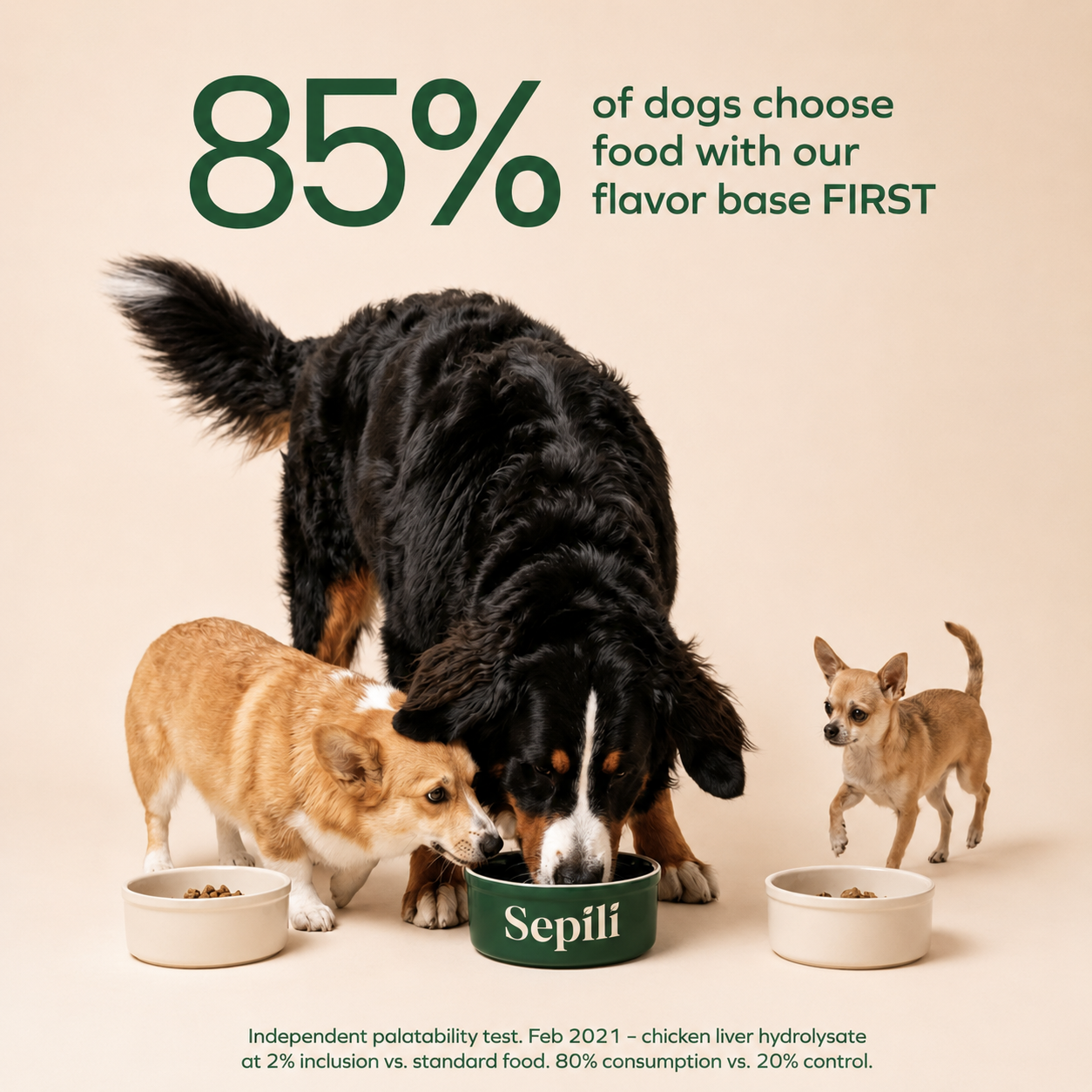 Sepili– the complete 4-layer liquid formula for aging dogs