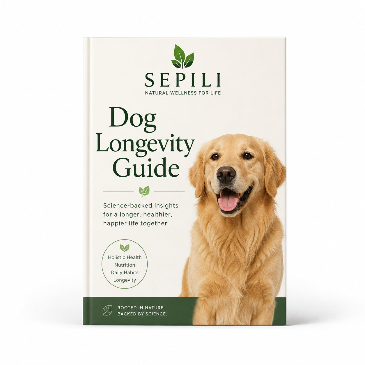 Dog Longevity Guide