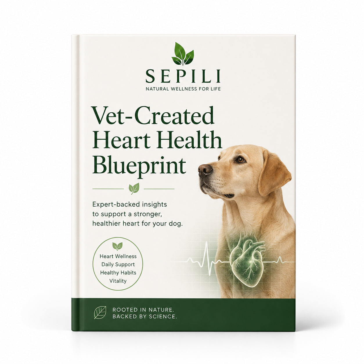 Vet-Created Heart Health Blueprint