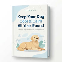 Cool & Calm Digital Guide