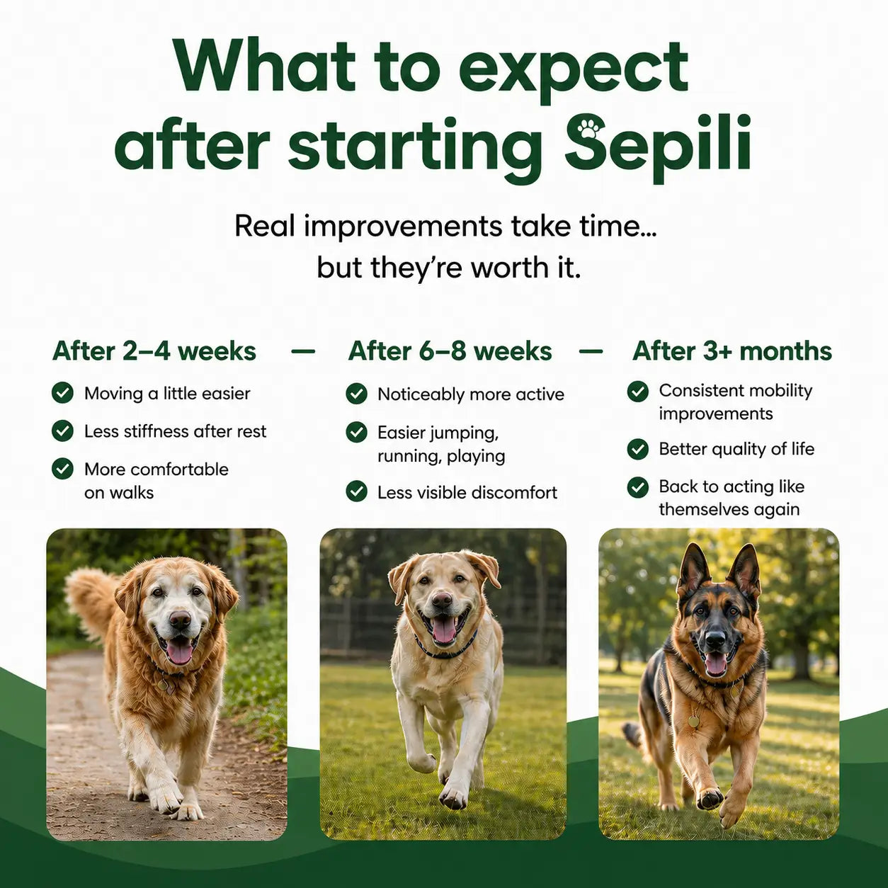 Get Natural Joint Support With Sepili Collagen Powder
