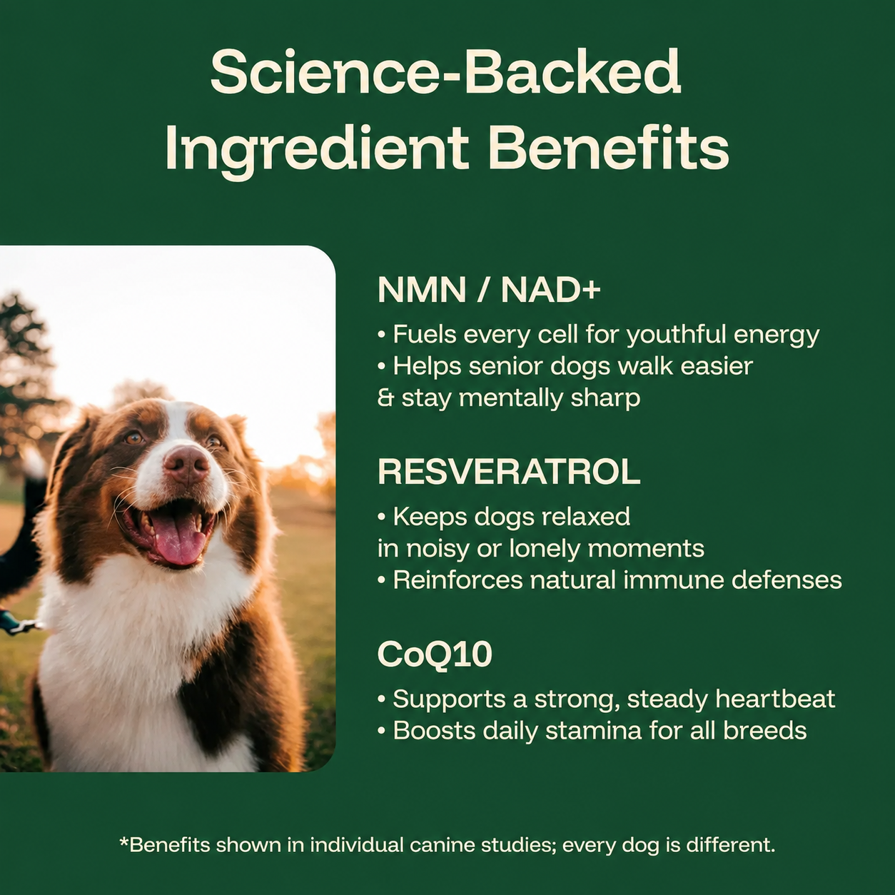 Sepili Protocol