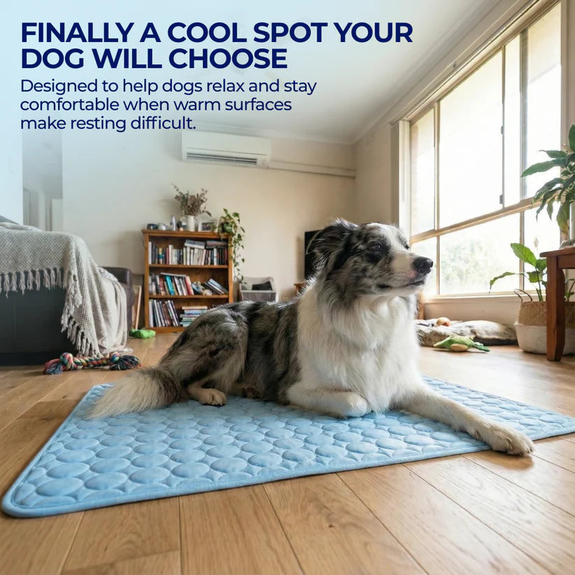 Sepili Nap | Ice-Silk Continuous Cooling Dog Cooling Mat