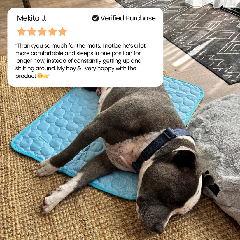 Sepili Nap | Ice-Silk Continuous Cooling Dog Cooling Mat