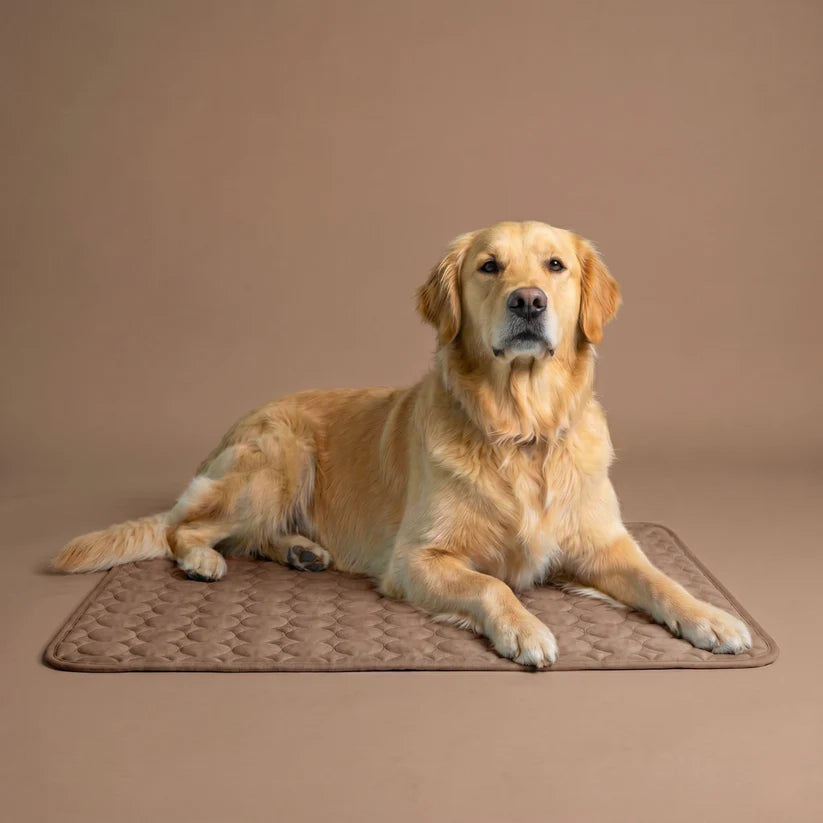 Sepili Nap | Ice-Silk Continuous Cooling Dog Cooling Mat