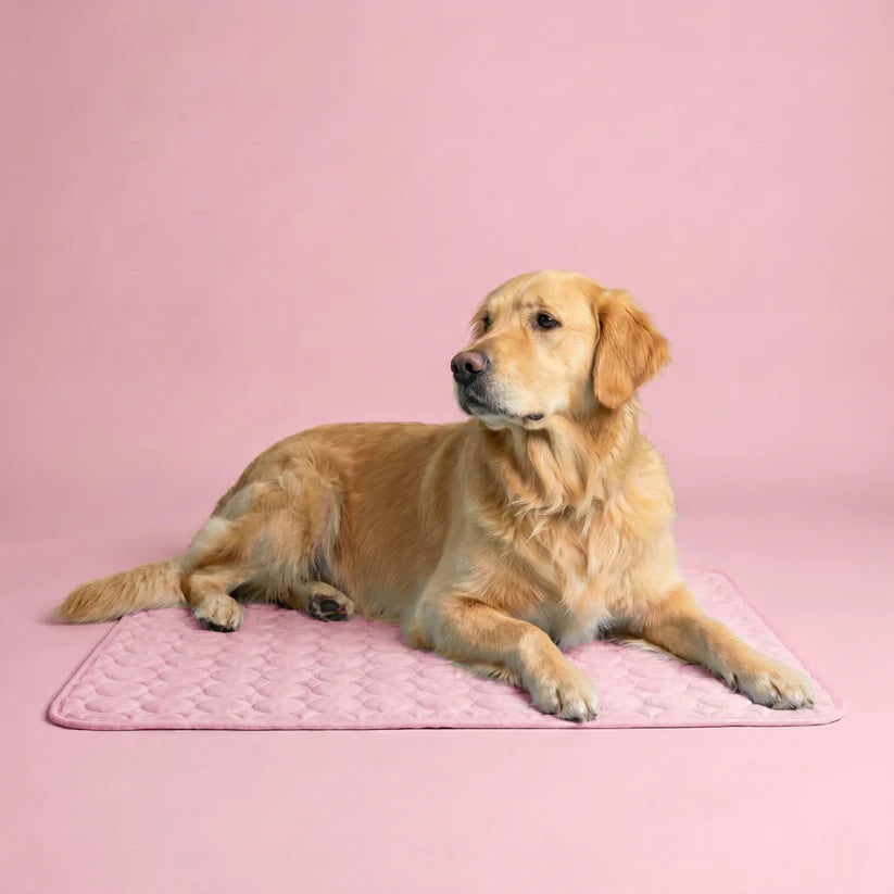 Sepili Nap | Ice-Silk Continuous Cooling Dog Cooling Mat