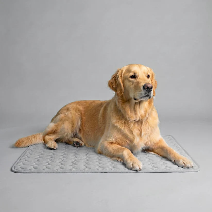 Sepili Nap | Ice-Silk Continuous Cooling Dog Cooling Mat