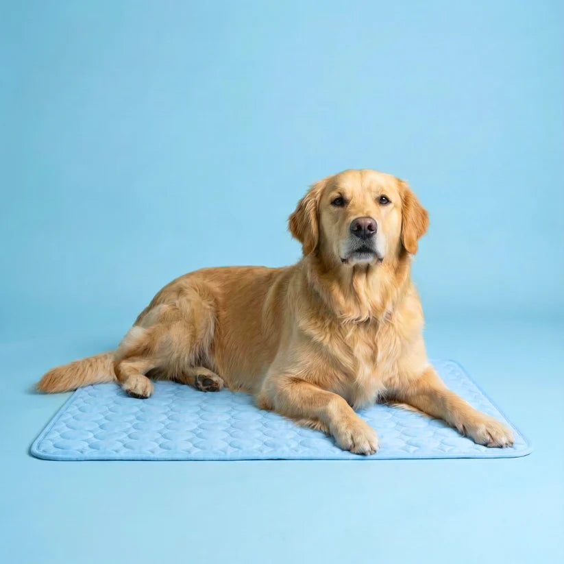 Sepili Nap | Ice-Silk Continuous Cooling Dog Cooling Mat
