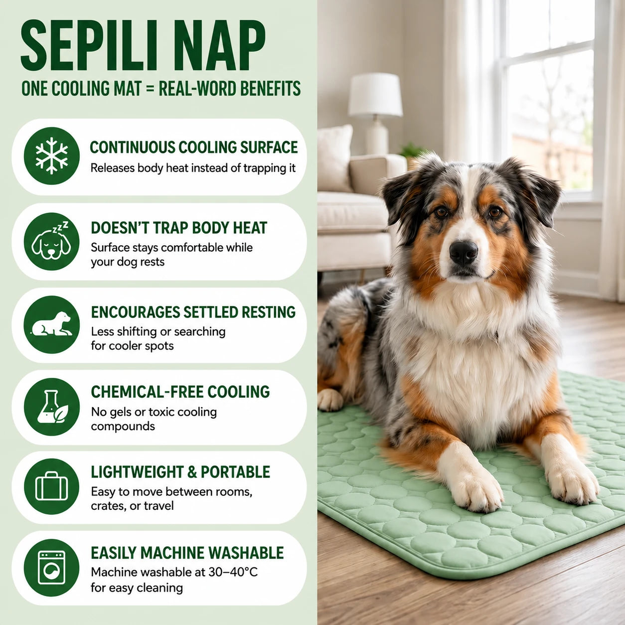 Sepili Nap | Ice-Silk Continuous Cooling Dog Cooling Mat