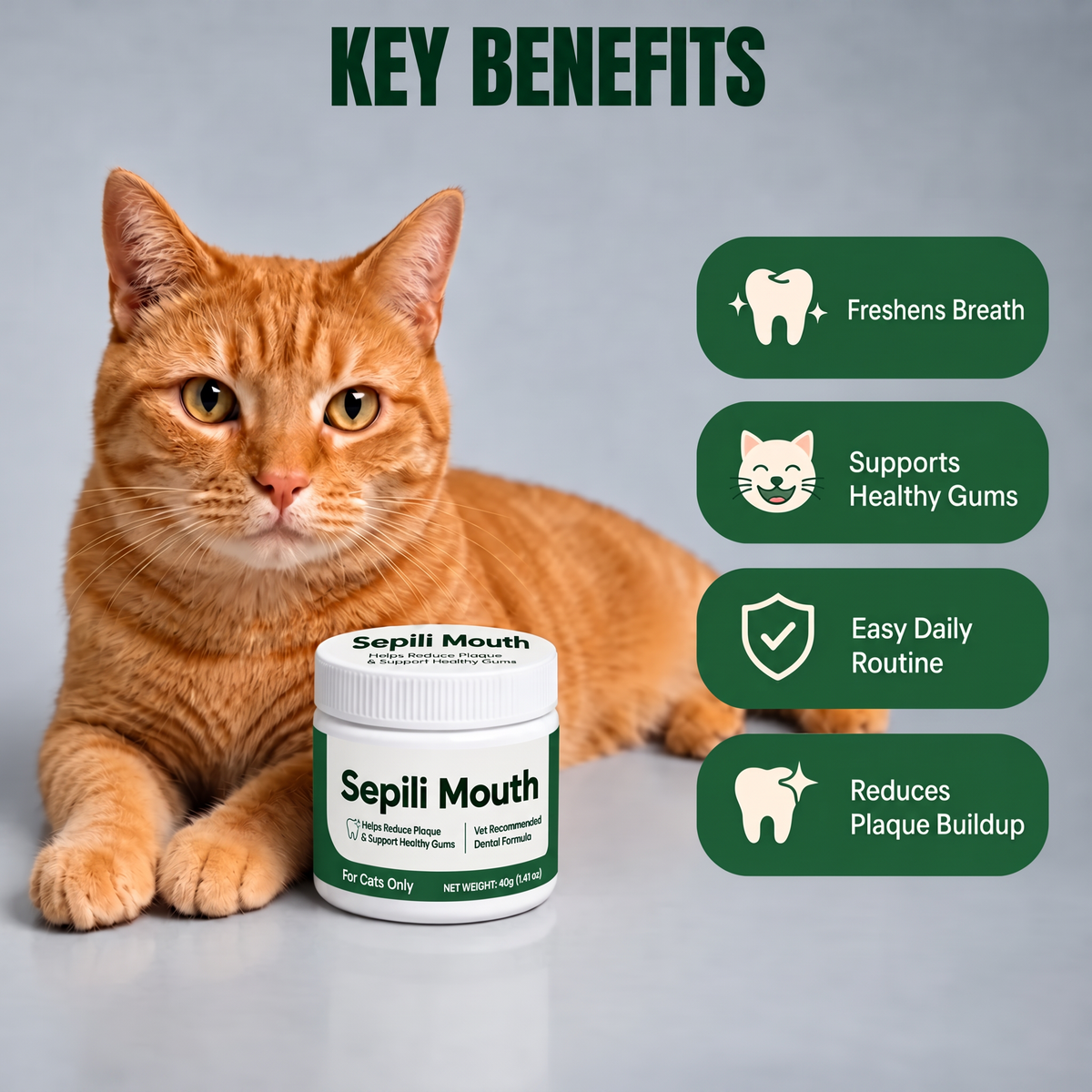 2x Sepili Dental Care for Cats