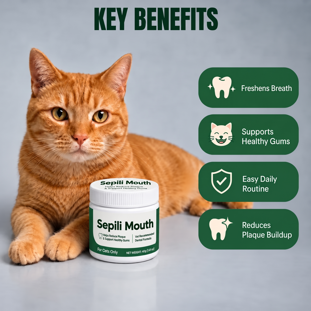 2x Sepili Oral Care for Cats