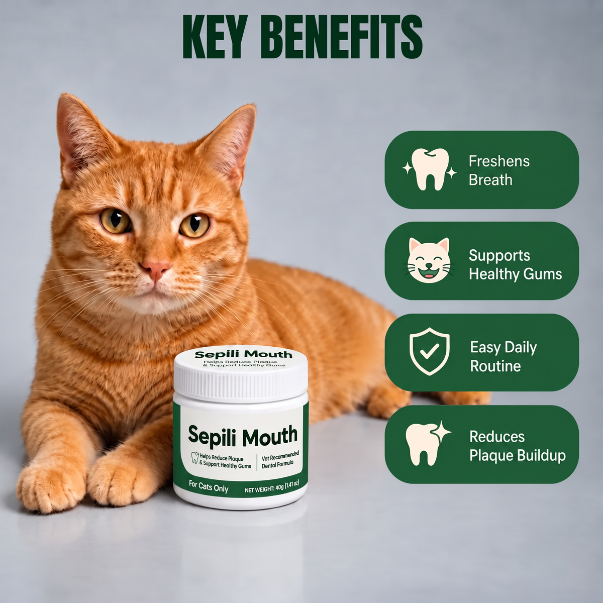 2x Sepili Oral Care for Cats