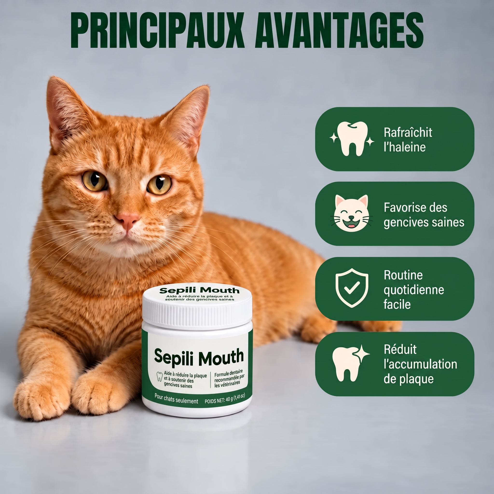 Sepili Soin Buccal pour Chats