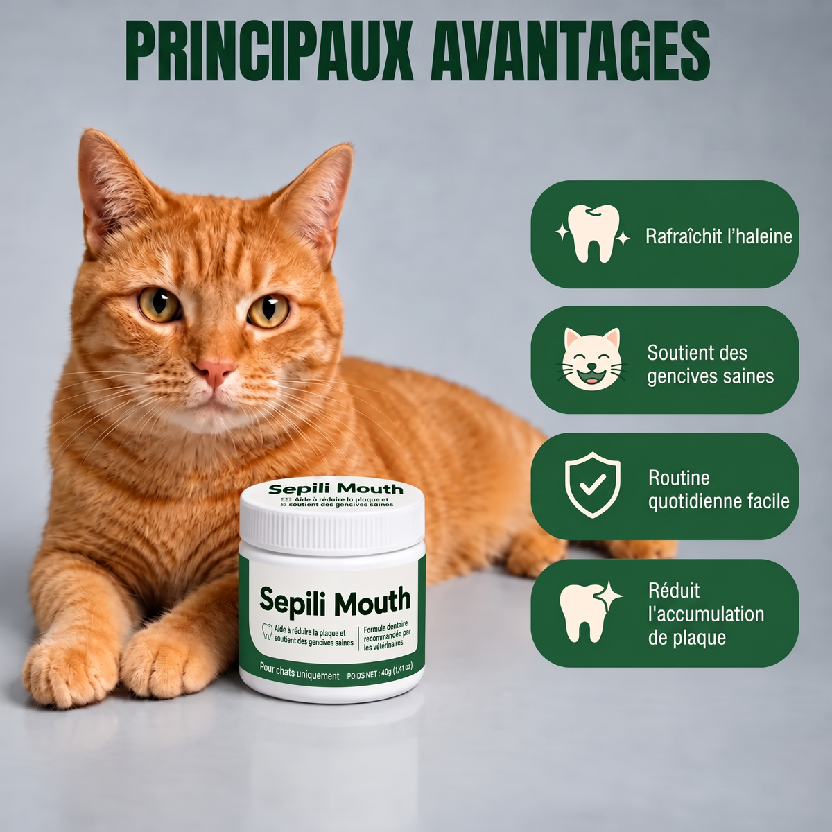 2x Sepili Soin Bucco-Dentaire pour Chats