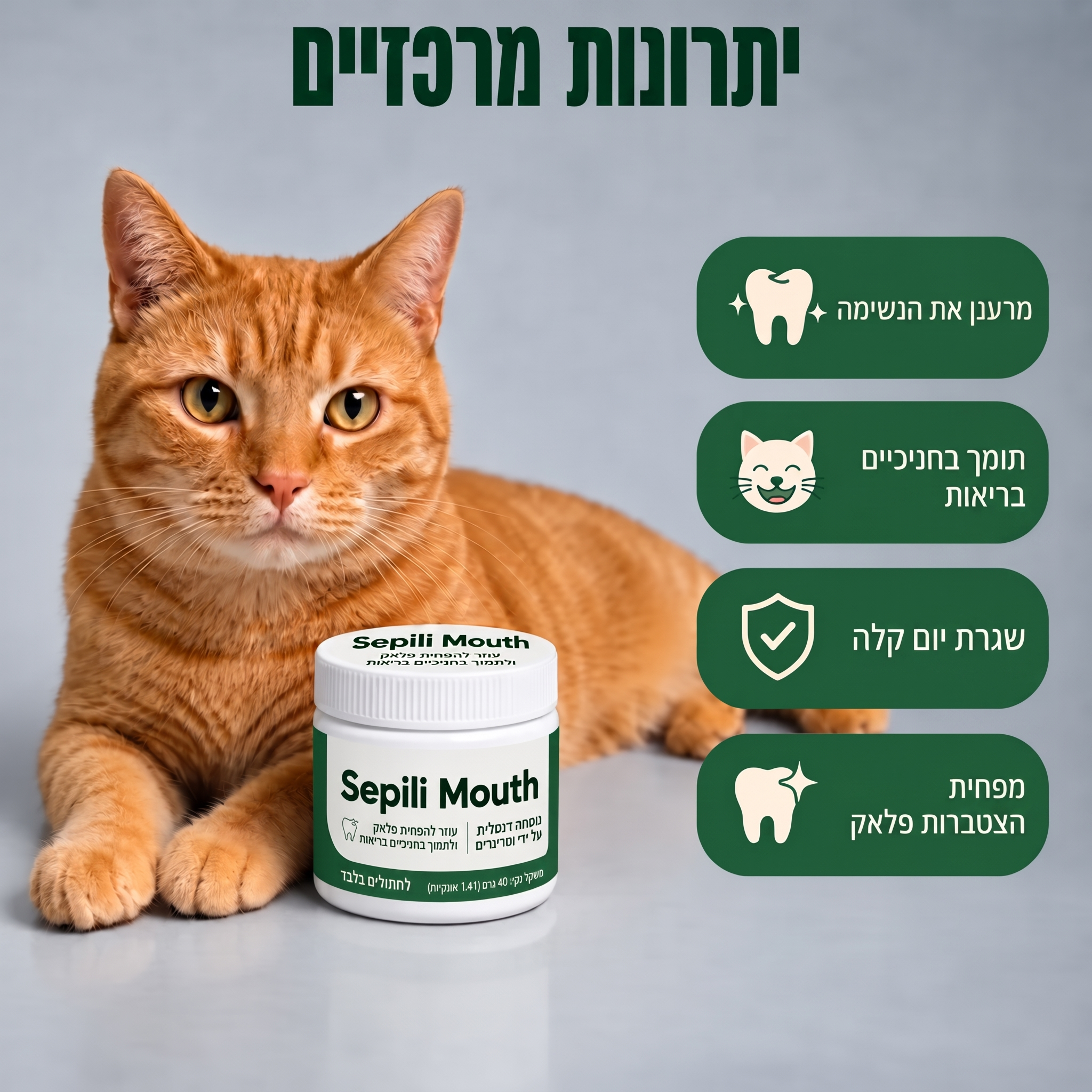 Sepili טיפוח הפה לחתולים – שיניים נקיות ונשימה רעננה