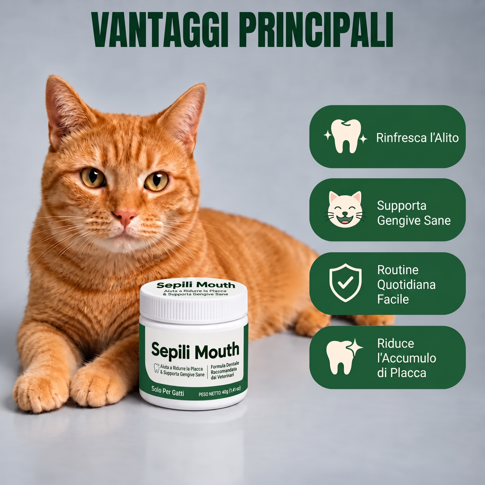 Sepili Igiene Orale per Gatti