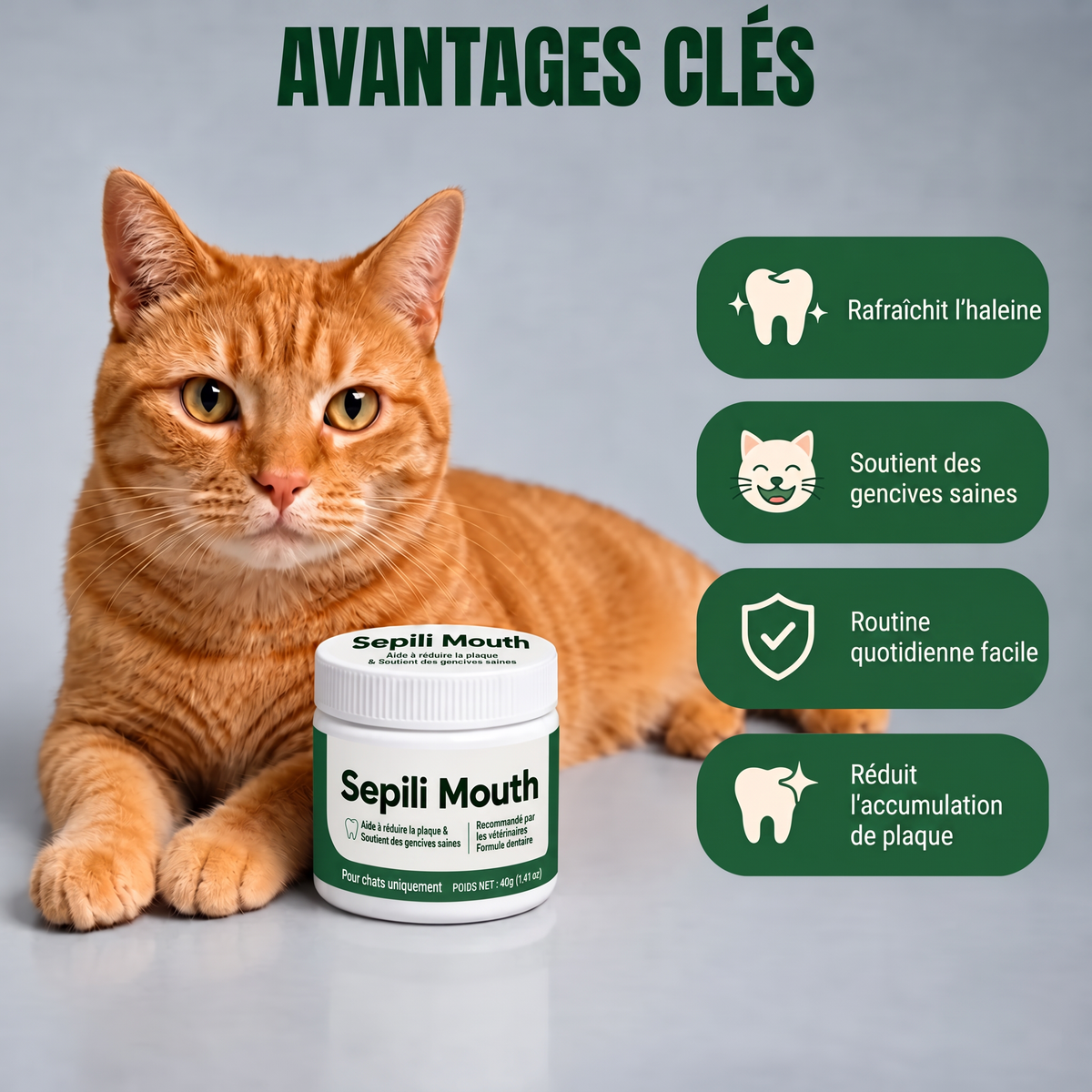 2x Sepili Soin Bucco-Dentaire pour Chats
