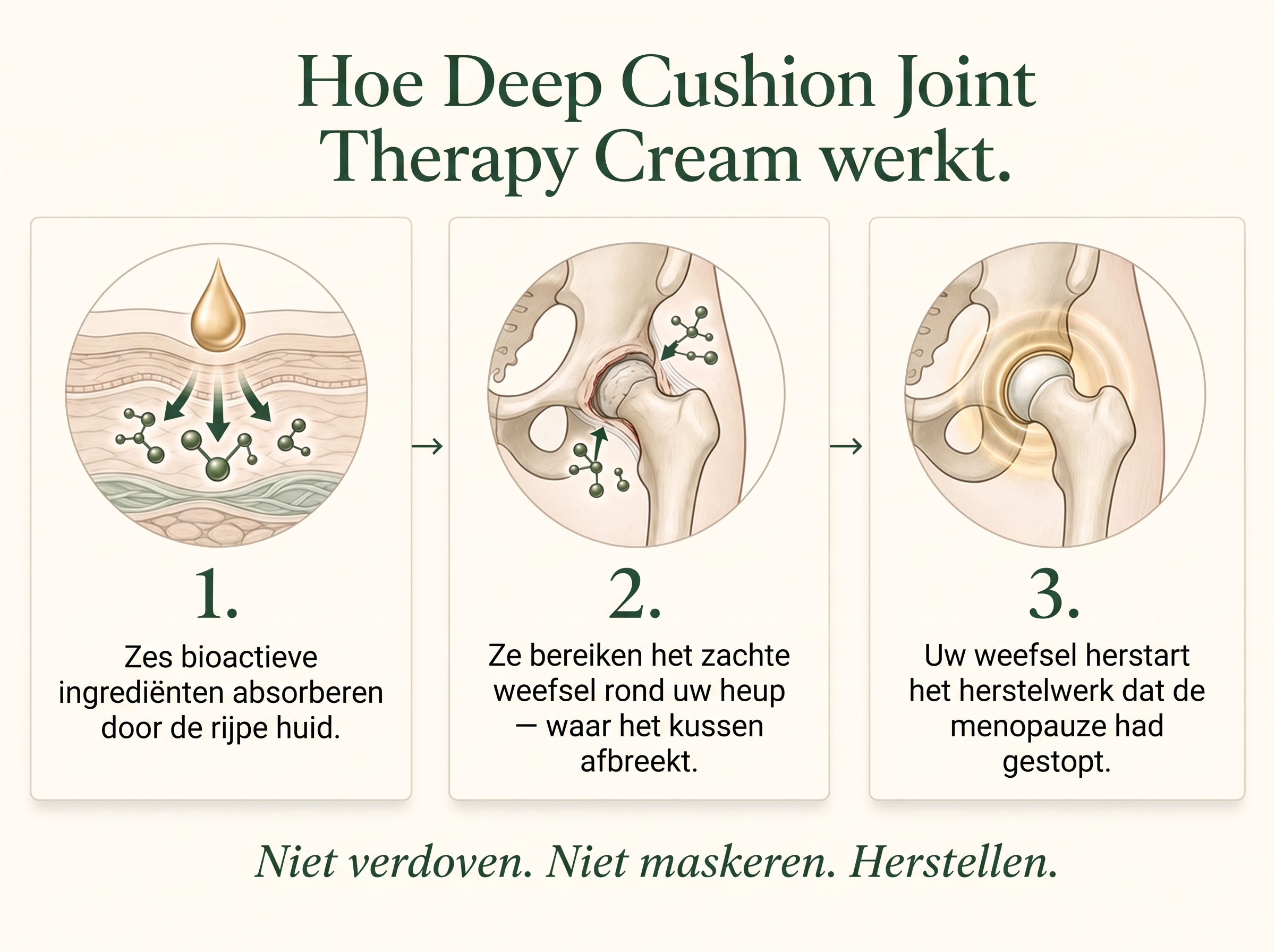 Sepili Organics Diepwerkende Gewrichtscrème voor Soepele Gewrichten