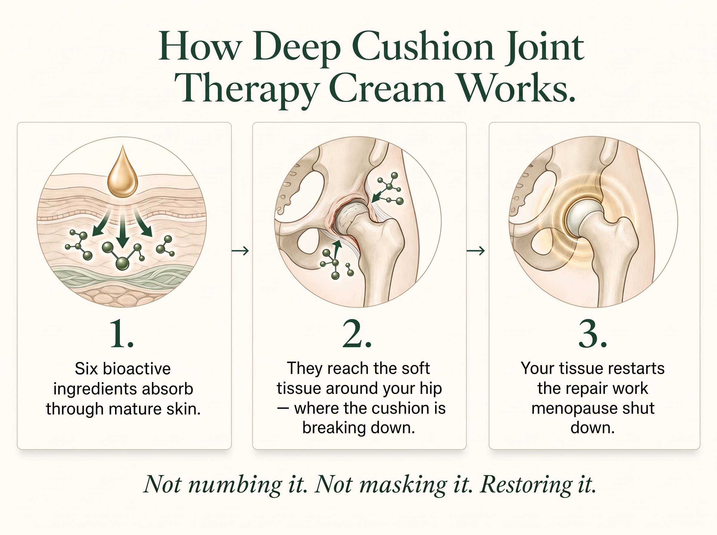 Sepili Organics Deep Cushion Joint Relief Cream