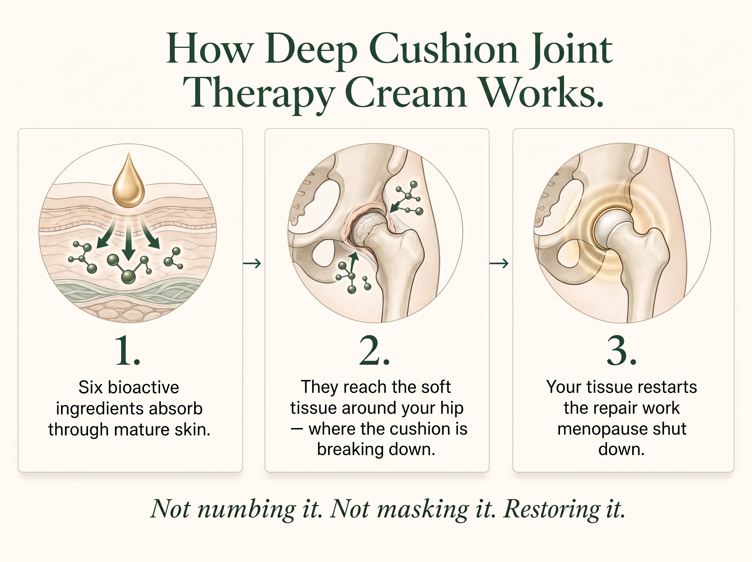 Sepili Organics Deep Cushion Joint Relief Cream
