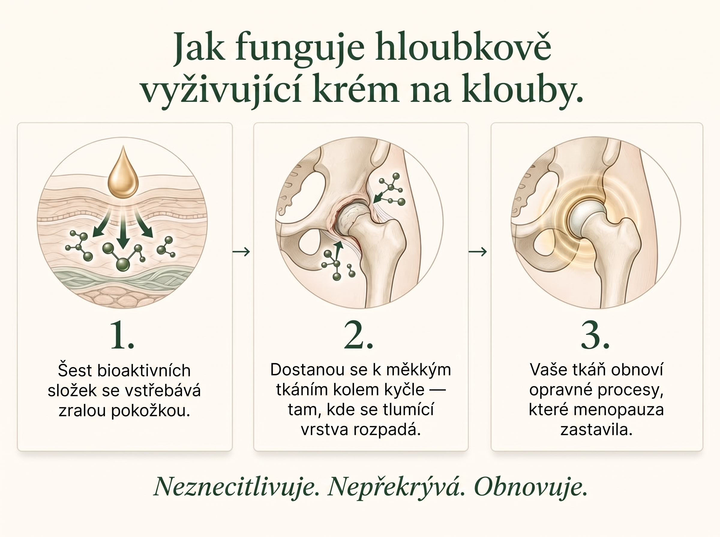 Sepili Organics Hloubkový krém na klouby – úleva a pružnost pohybu