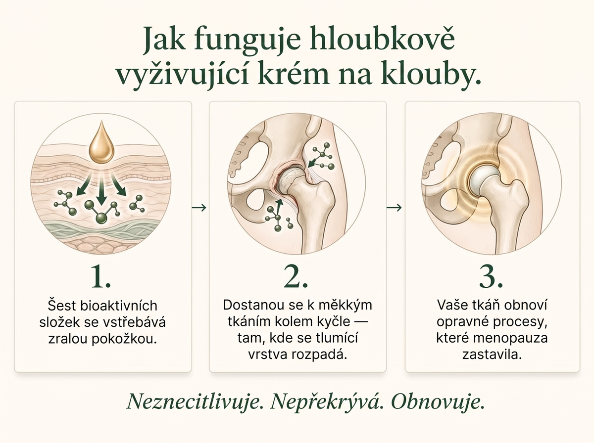 2x Sepili Organics Hloubkový krém na klouby – úleva a pružnost pohybu