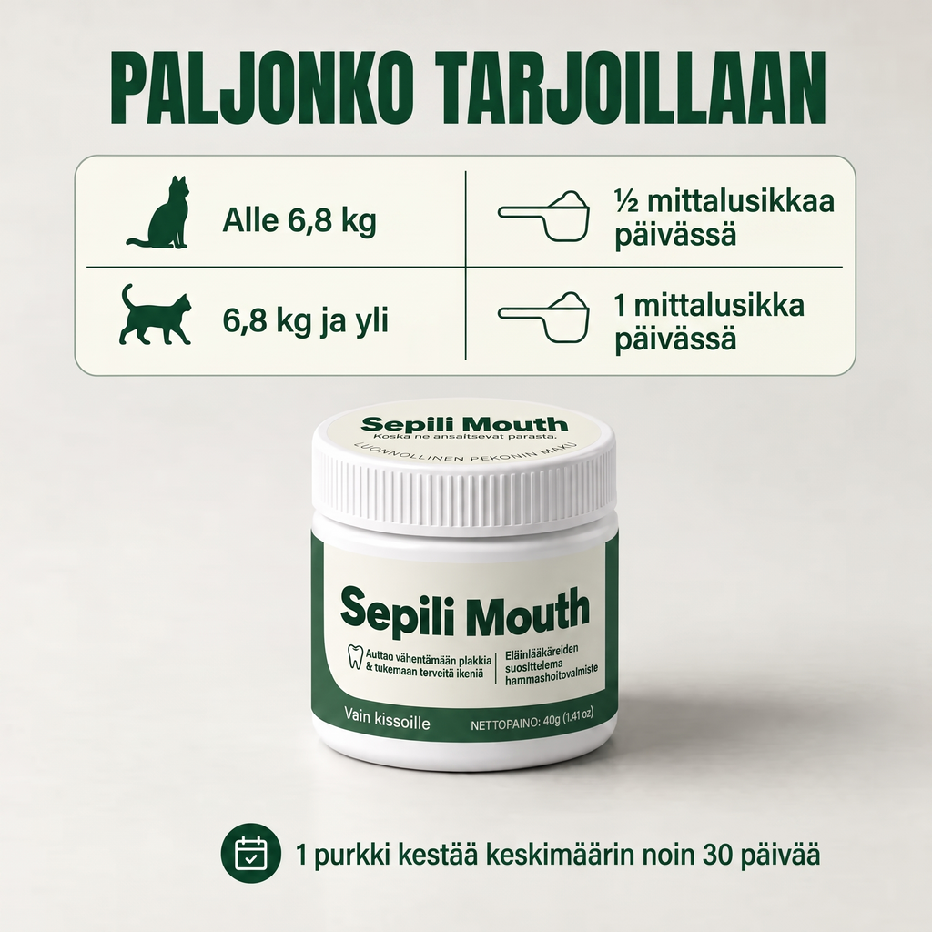 2x Sepili suunhoito kissoille