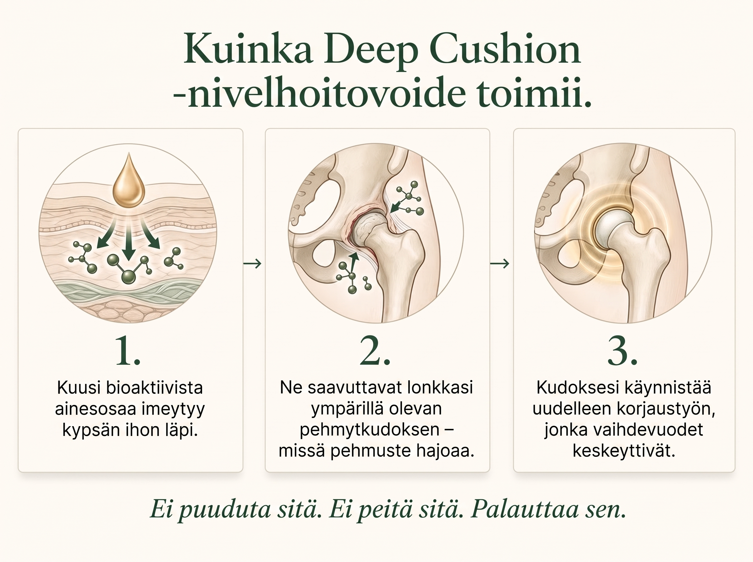 Sepili Organics Syvävaikutteinen nivelhoitovoide