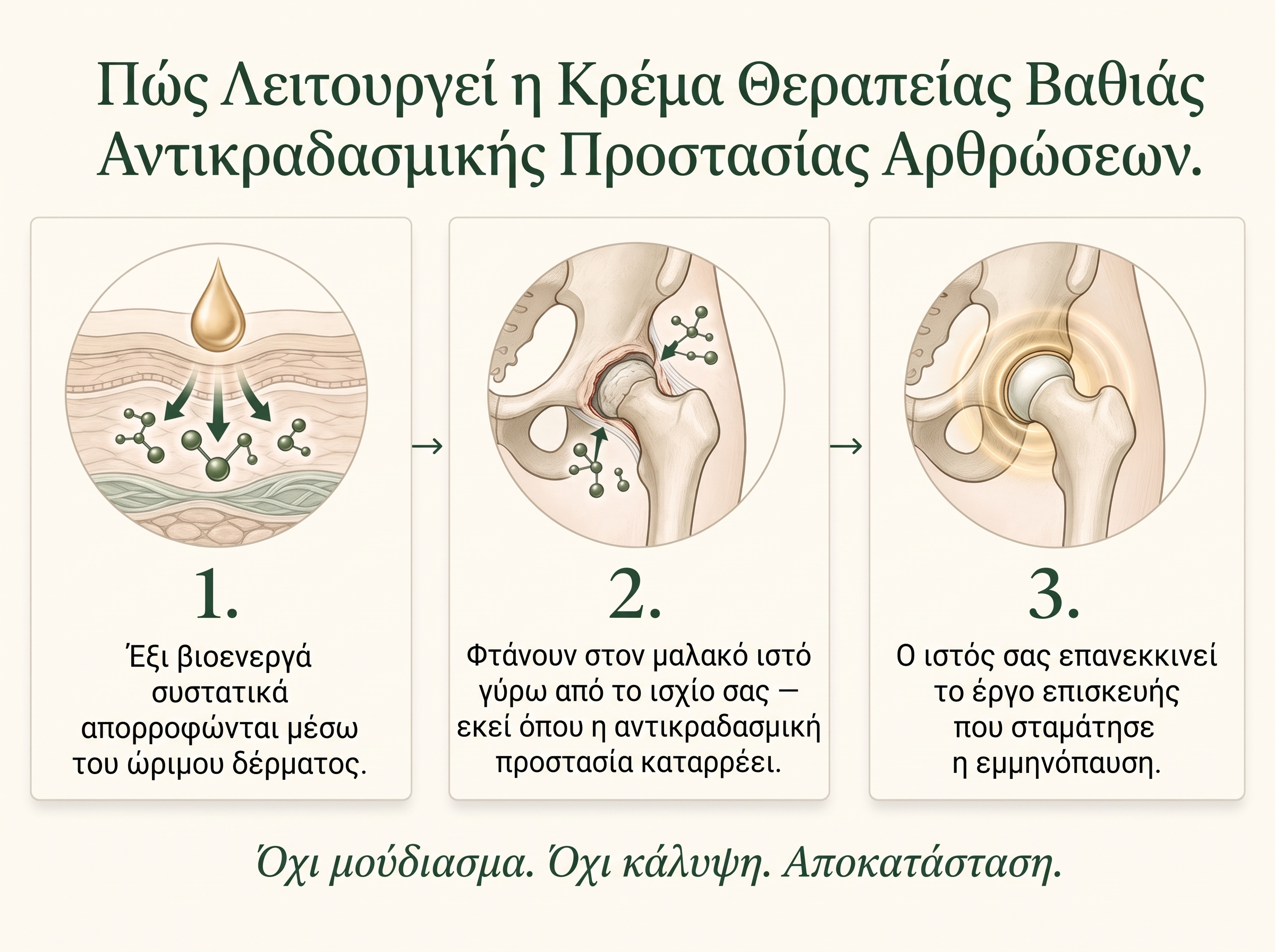 Sepili Organics Κρέμα Βαθιάς Ανακούφισης & Στήριξης για Πονεμένες Αρθρώσεις