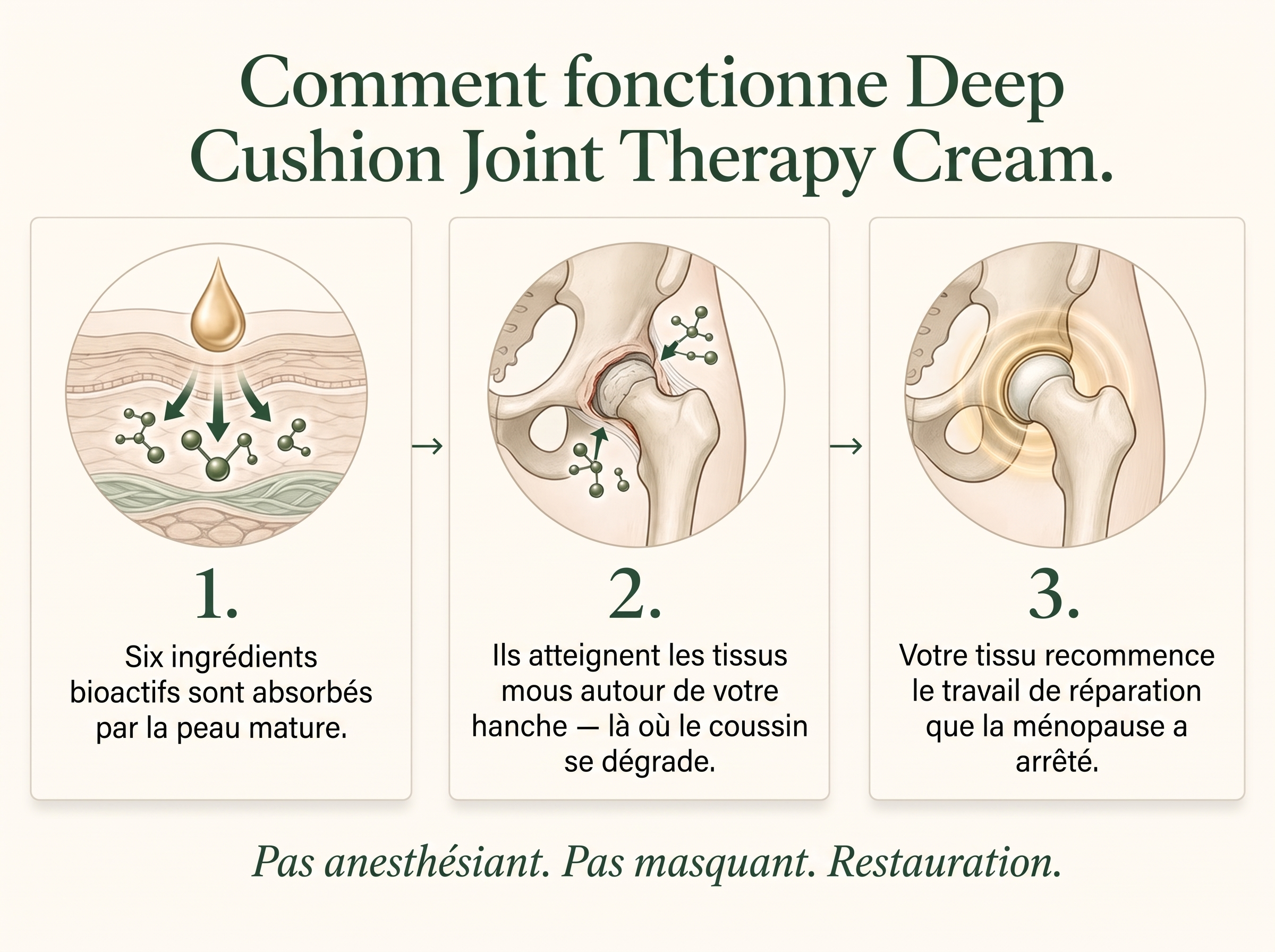 Sepili Organics Crème Articulations – Confort Profond & Soin Intensif