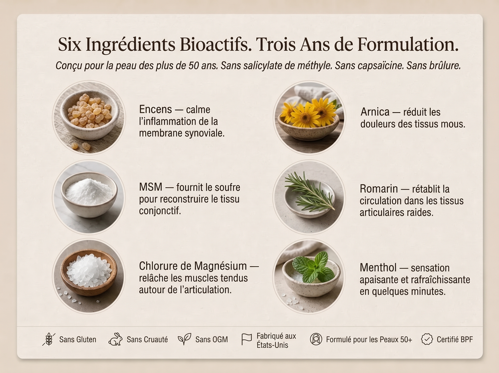 2x Sepili Organics Crème Articulations Soin Intensif – Confort & Souplesse en Profondeur