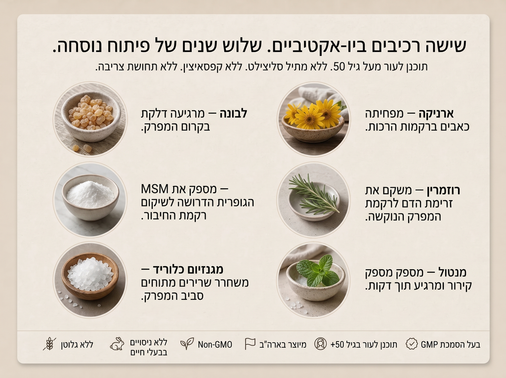 2x Sepili Organics קרם טיפולי לפרקים – ריפוד והקלה עמוקה