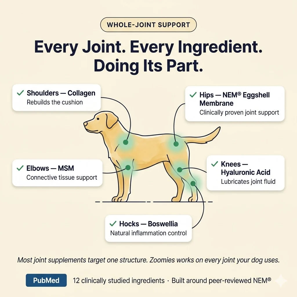 Premium Joint Health Chews - Improved Formula